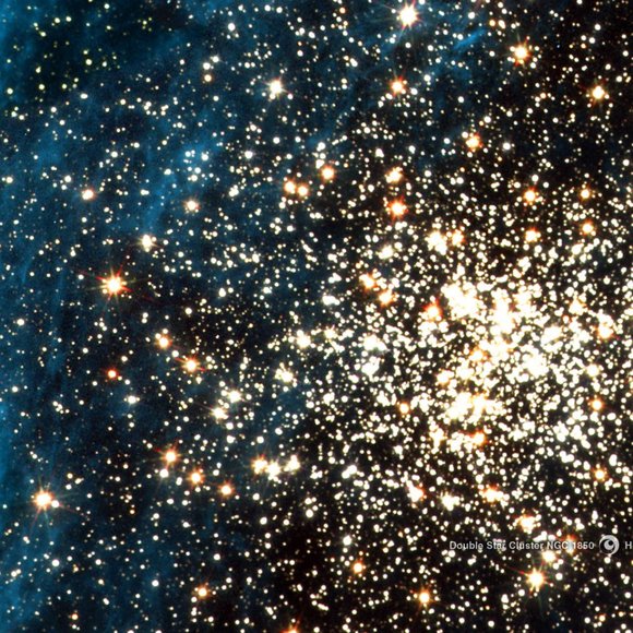 Meet your Posher, Valerie - Picture 1 of 1